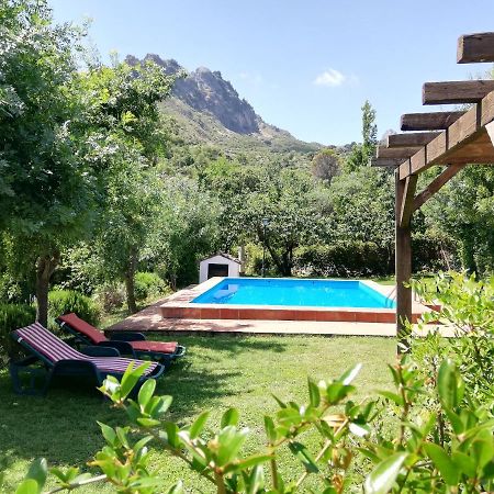 Casa Rural La Maquinilla Grazalema Dış mekan fotoğraf