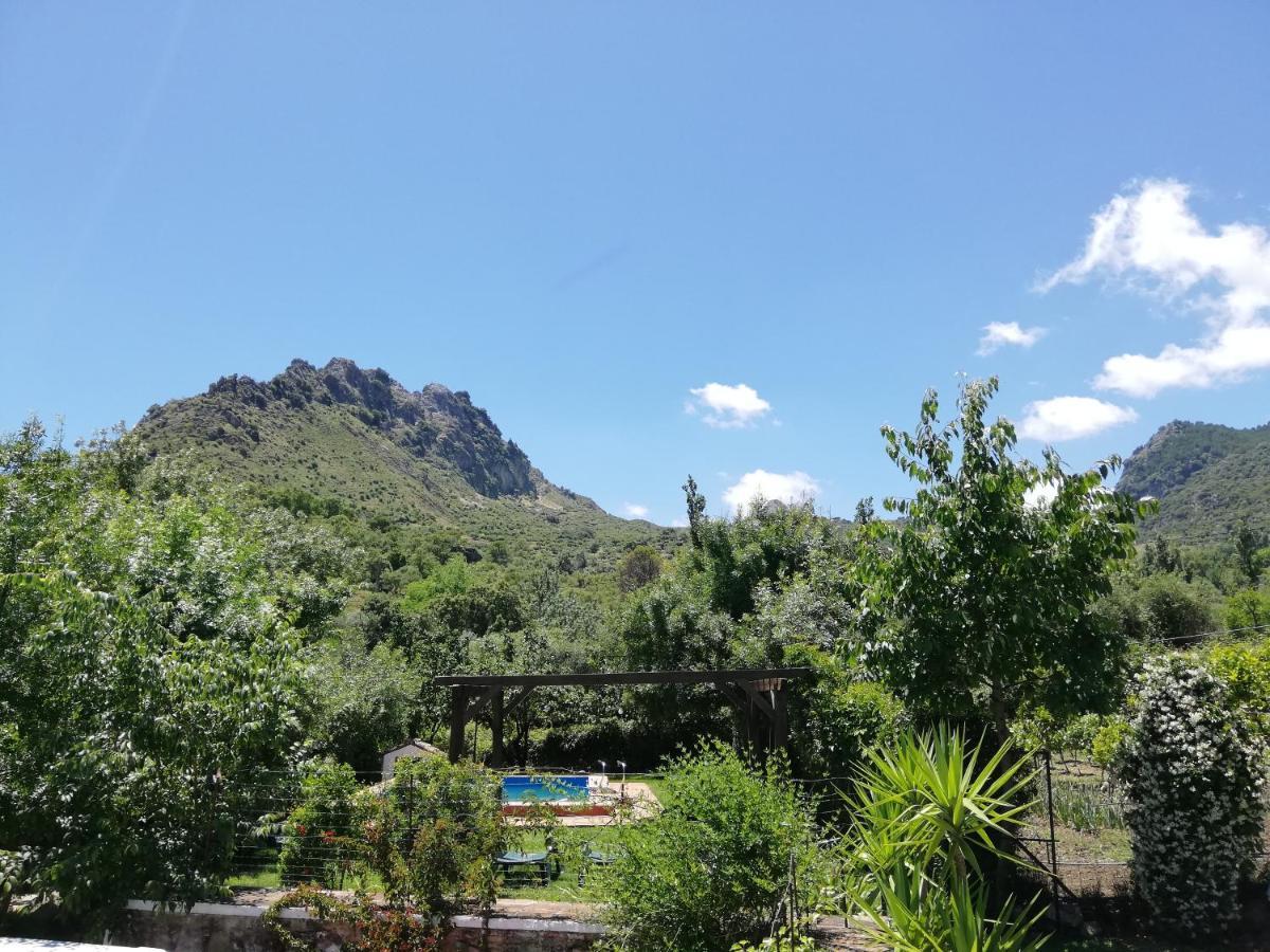 Casa Rural La Maquinilla Grazalema Dış mekan fotoğraf