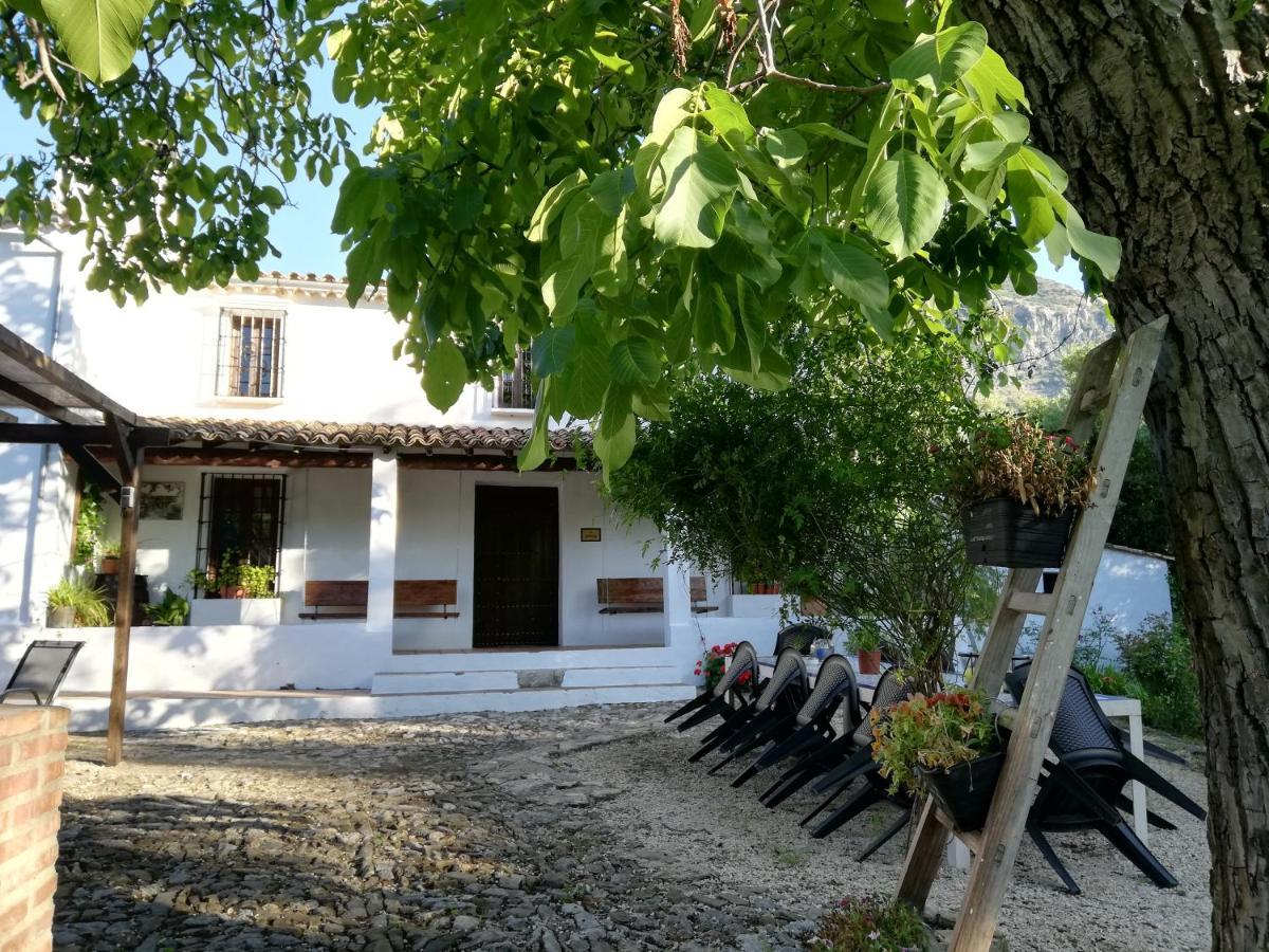 Casa Rural La Maquinilla Grazalema Dış mekan fotoğraf