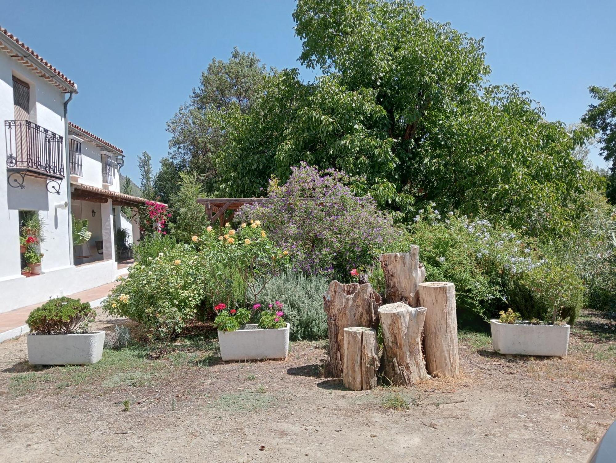 Casa Rural La Maquinilla Grazalema Dış mekan fotoğraf