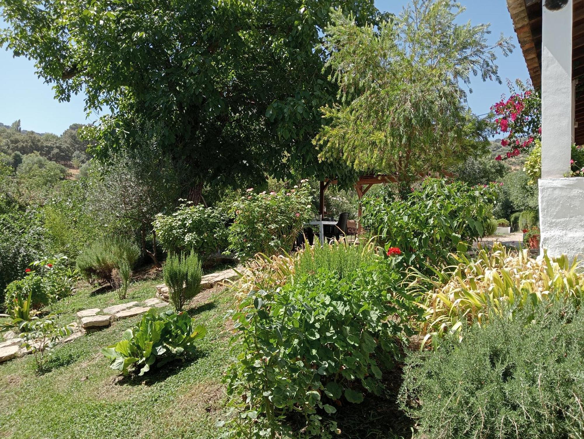 Casa Rural La Maquinilla Grazalema Dış mekan fotoğraf