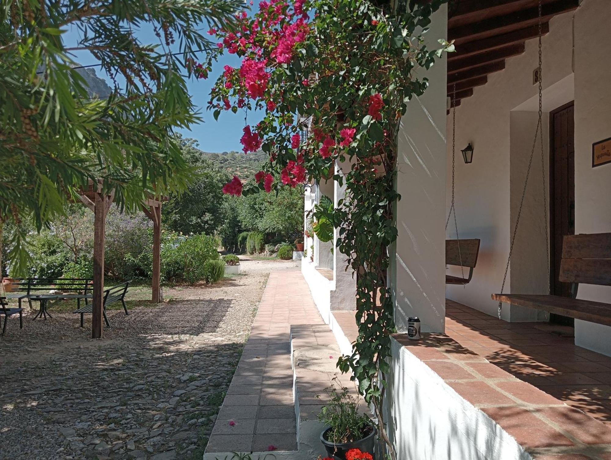 Casa Rural La Maquinilla Grazalema Dış mekan fotoğraf