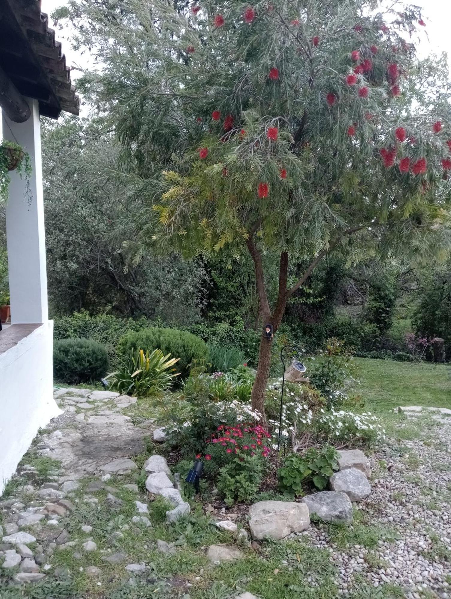 Casa Rural La Maquinilla Grazalema Dış mekan fotoğraf