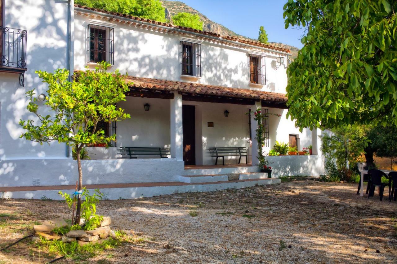 Casa Rural La Maquinilla Grazalema Dış mekan fotoğraf