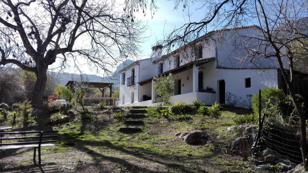 Casa Rural La Maquinilla Grazalema Dış mekan fotoğraf