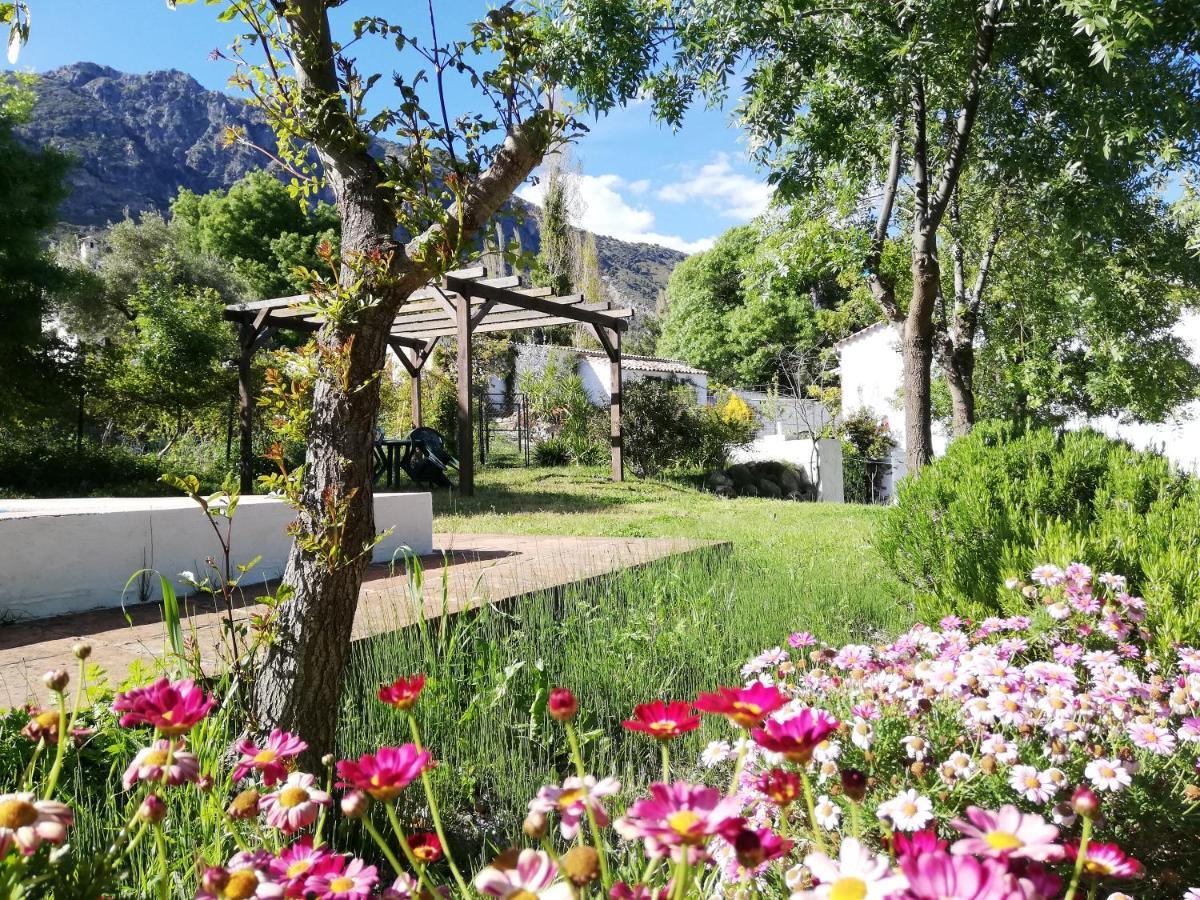 Casa Rural La Maquinilla Grazalema Dış mekan fotoğraf